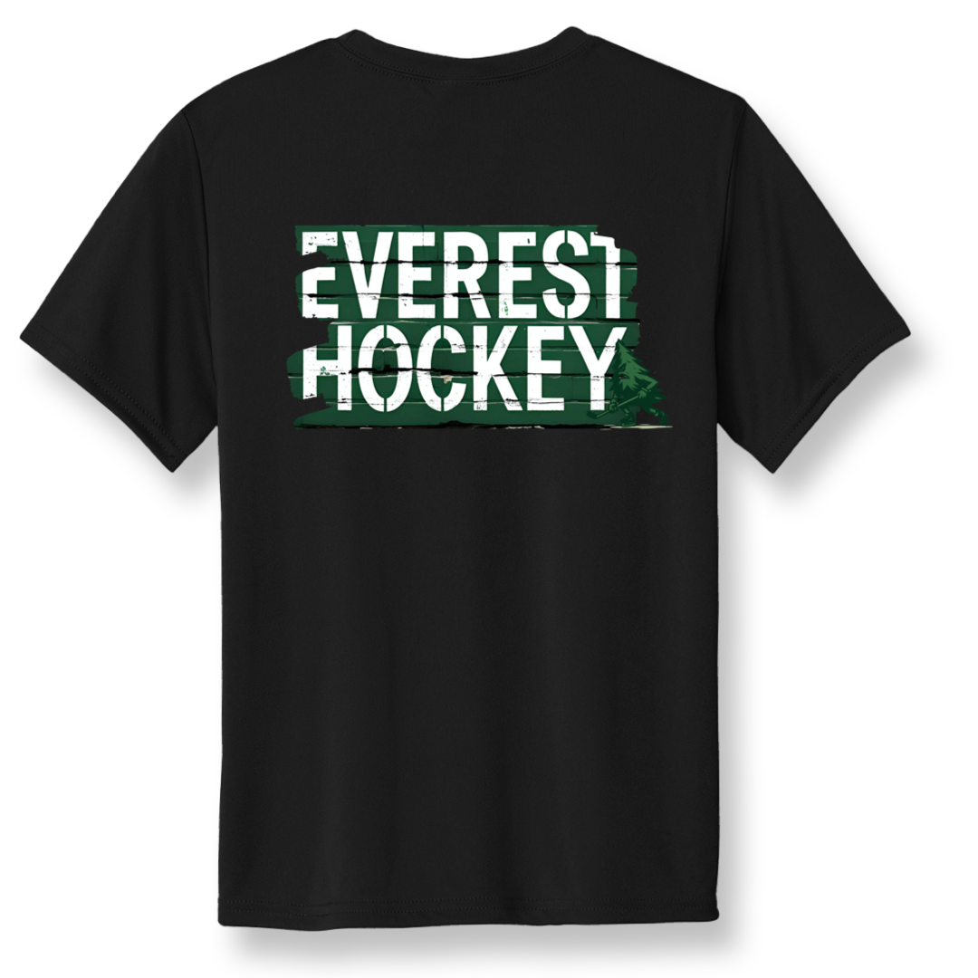 NEW Everest Hockey Brick Wall