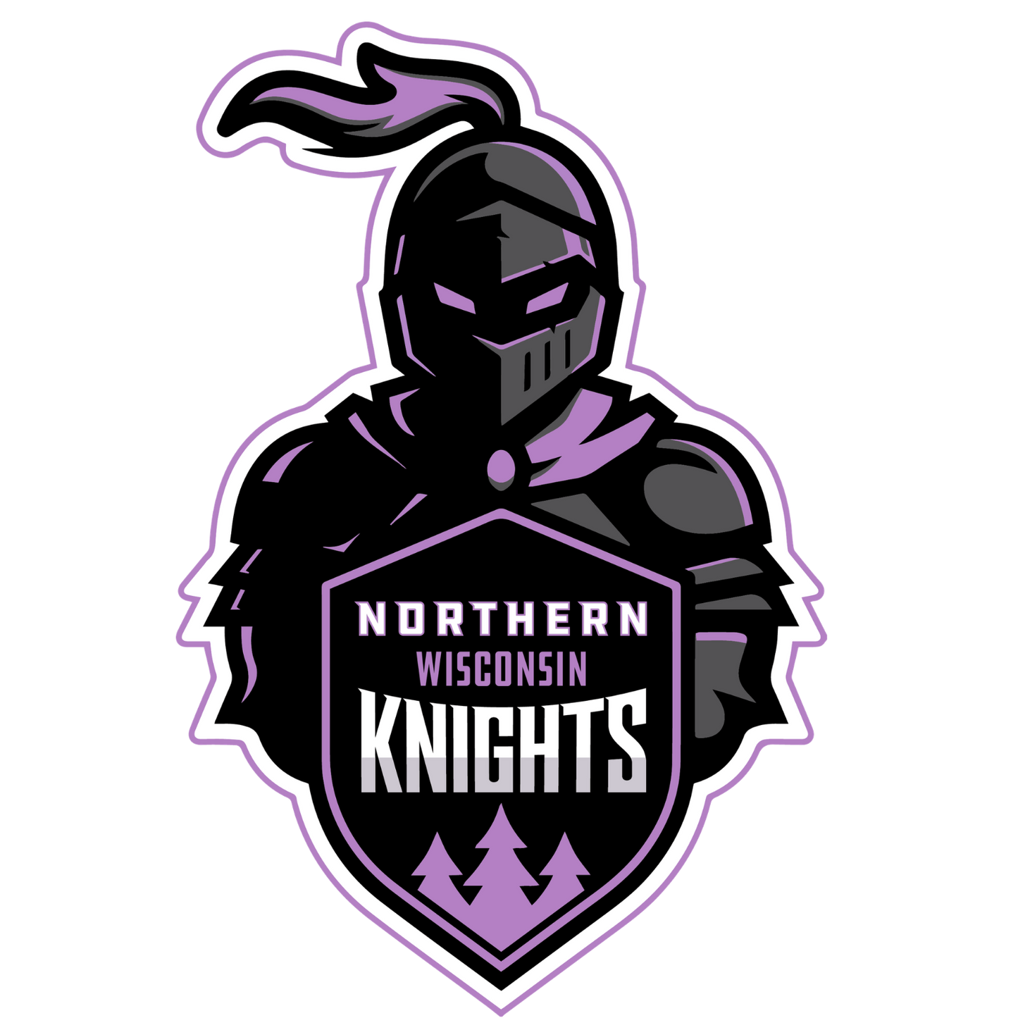 Lady Knight and Shield