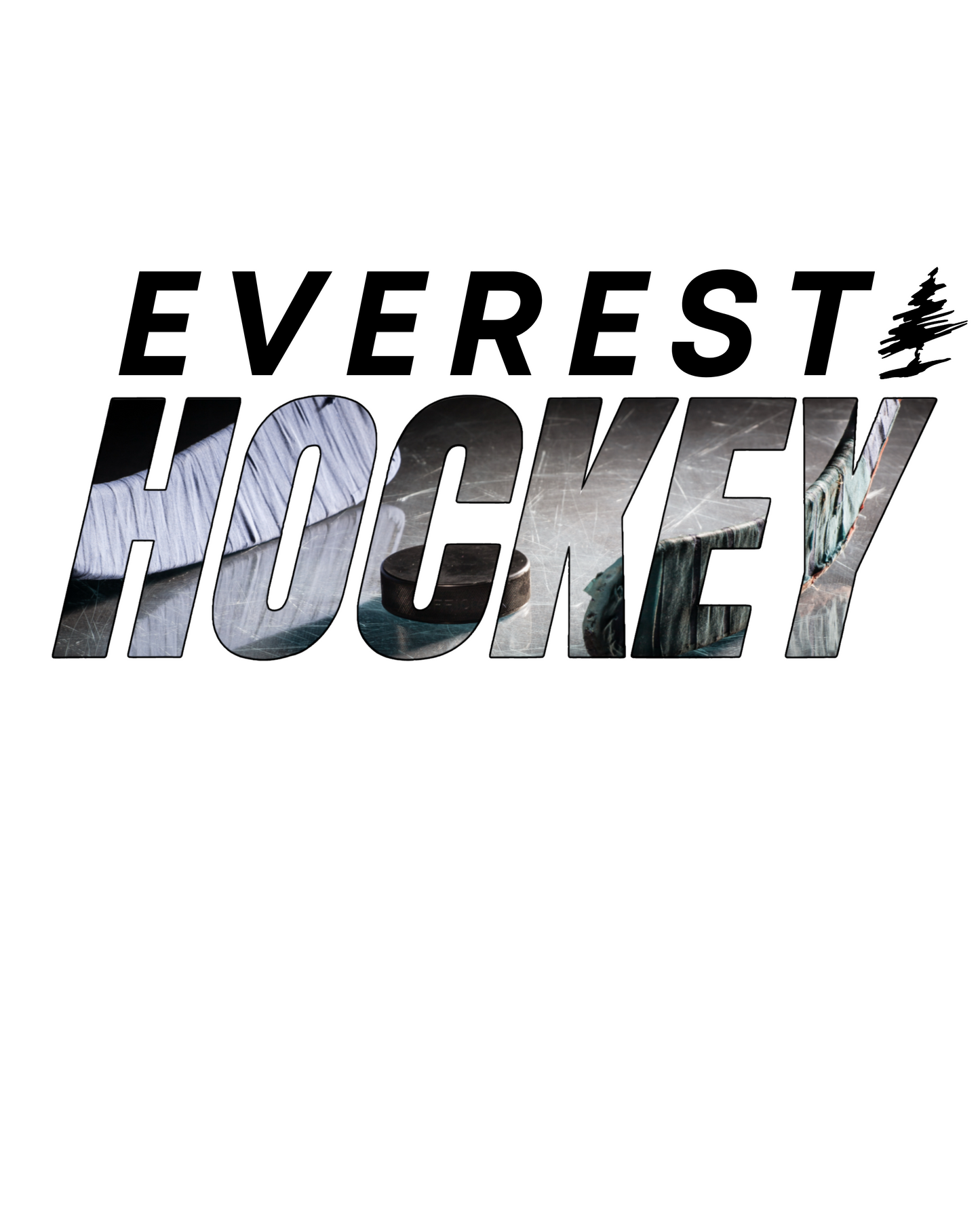 NEW Everest Hockey Face Off