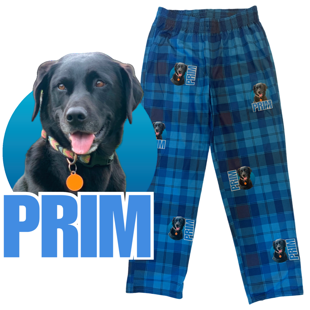 Valentine’s Day Puppy Pants!