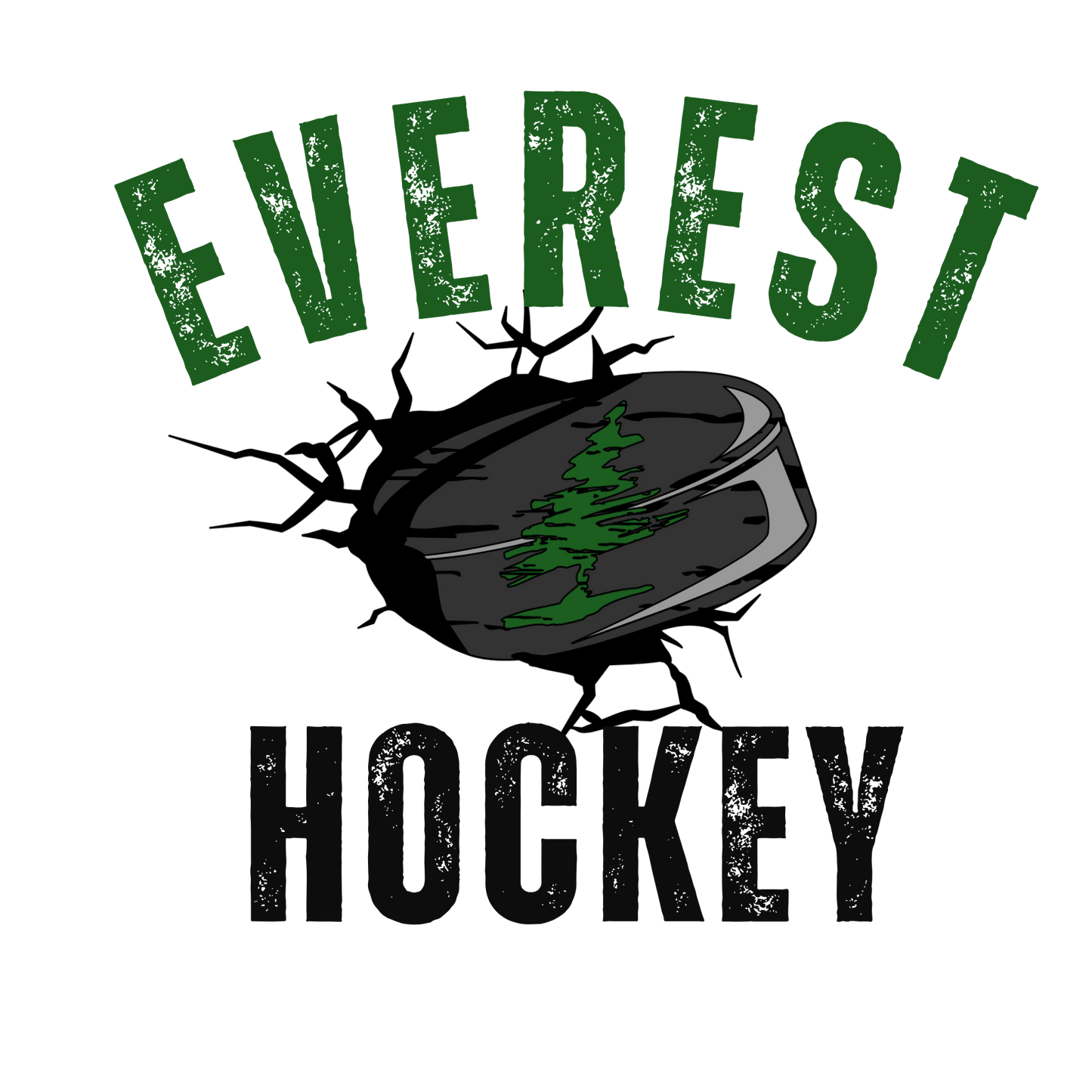 Everest Hockey Slap Shot